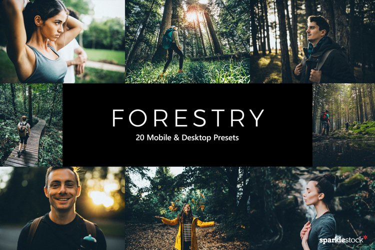 20 Forestry Lightroom Presets   LUTs