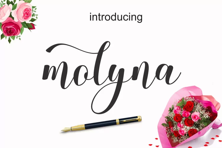 Molyna - A Fun Zippy Script Font