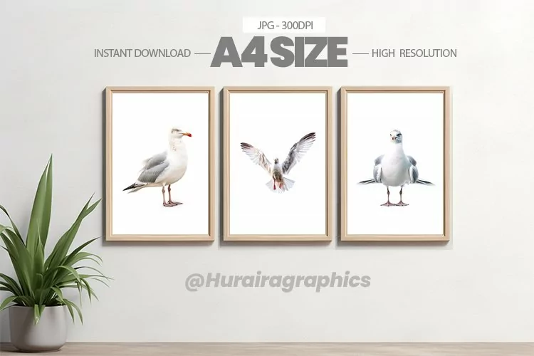Bird Wall Art - 03 Variations