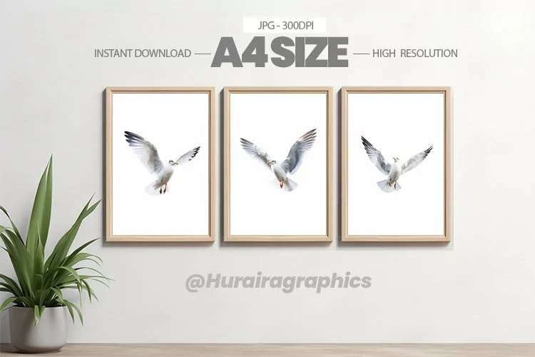 Bird Wall Art - 03 Variations