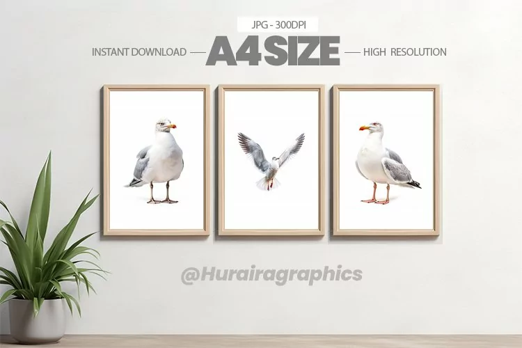 Bird Wall Art - 03 Variations