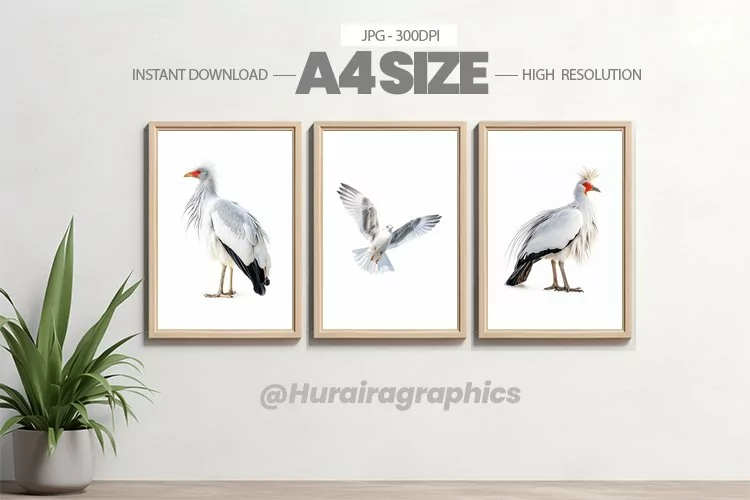 Bird Wall Art - 03 Variations