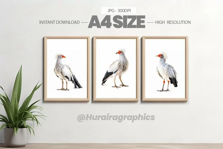 Safari Animal Wall Art - 03 Variations