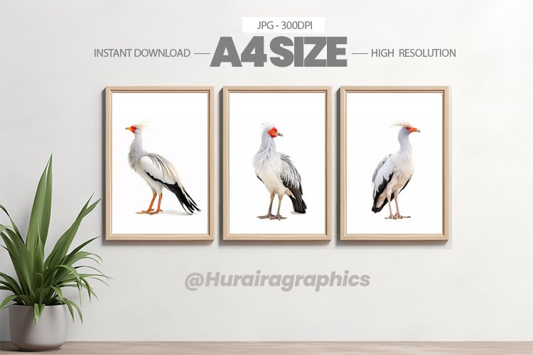 Bird Wall Art - 03 Variations example image 1