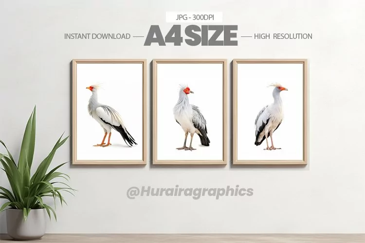 Bird Wall Art - 03 Variations