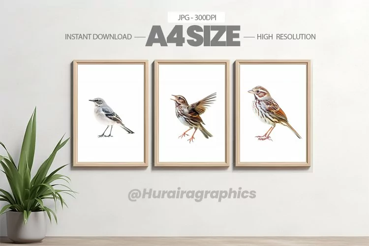 Bird Wall Art - 03 Variations