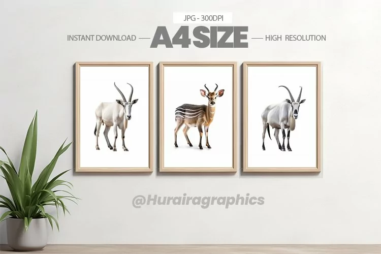 Safari Animal Wall Art - 03 Variations