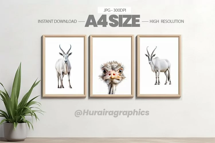 Animal Wall Art - 03 Variations