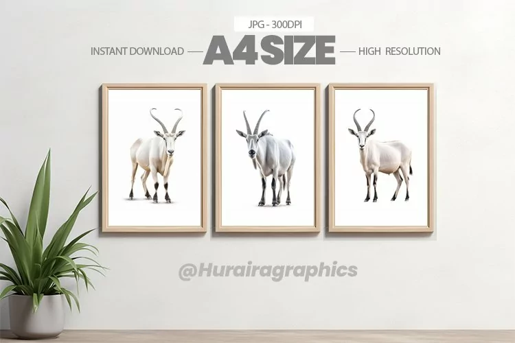 Safari Animal Wall Art - 03 Variations