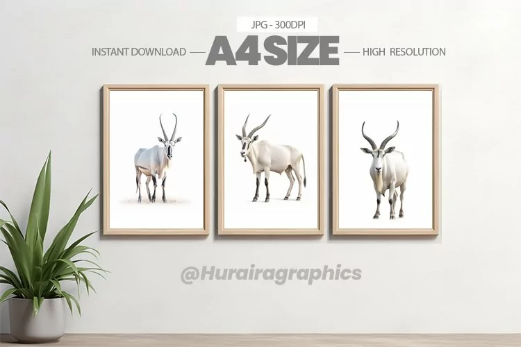 Safari Animal Wall Art - 03 Variations