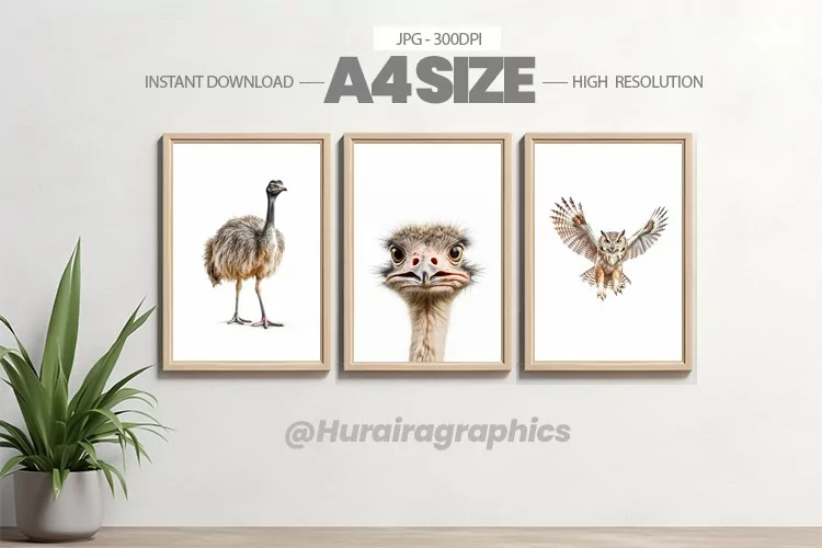 Bird Wall Art - 03 Variations