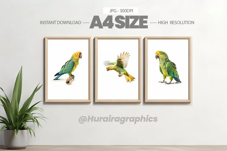 Bird Wall Art - 03 Variations