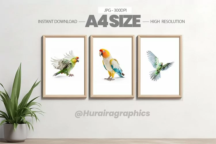 Bird Wall Art - 03 Variations