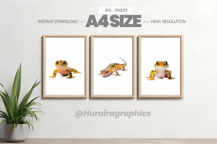 Animal Wall Art - 03 Variations