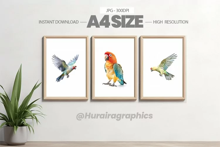 Bird Wall Art - 03 Variations