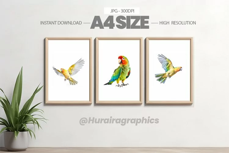 Bird Wall Art - 03 Variations