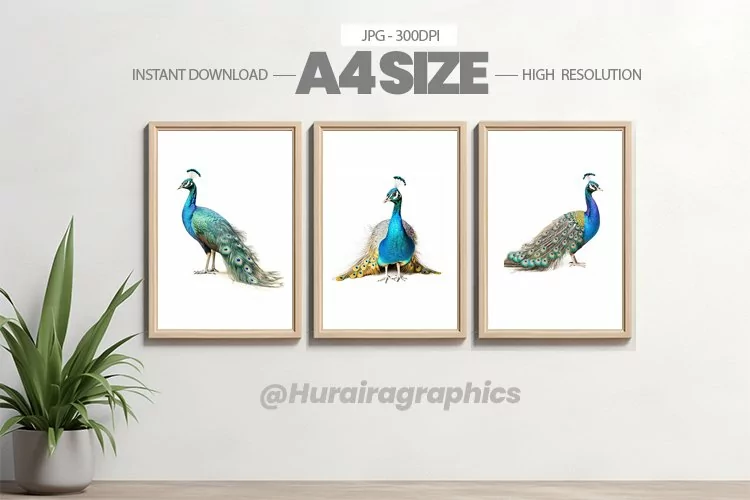 Bird Wall Art - 03 Variations