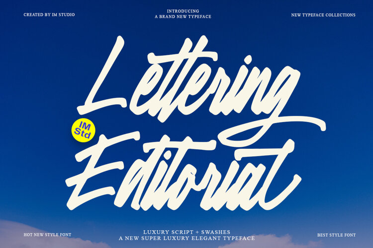 Lettering Editorial Swashes example image 1