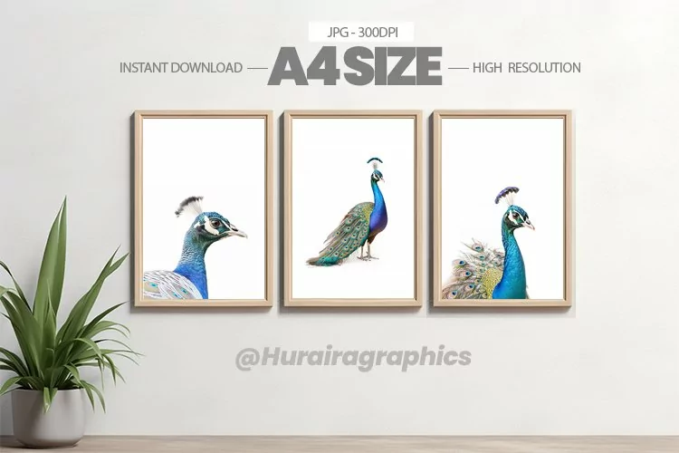 Bird Wall Art - 03 Variations