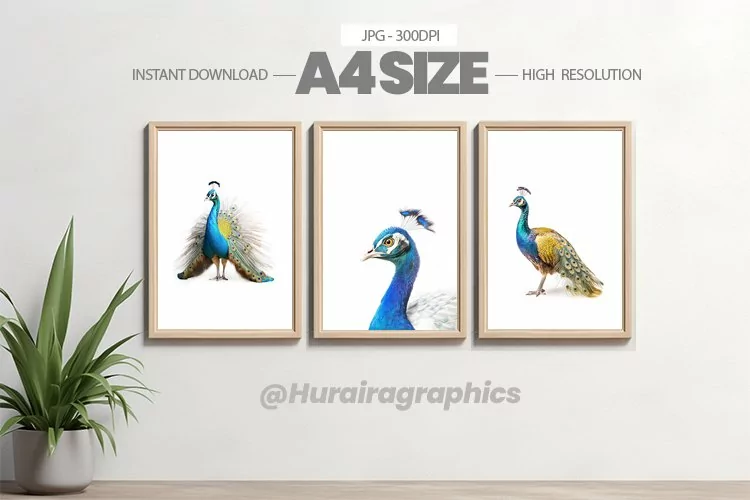 Bird Wall Art - 03 Variations