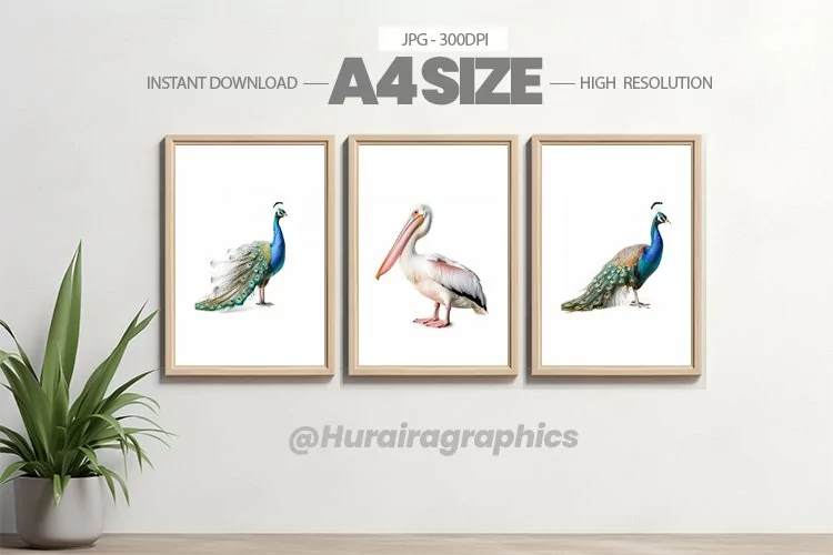 Bird Wall Art - 03 Variations