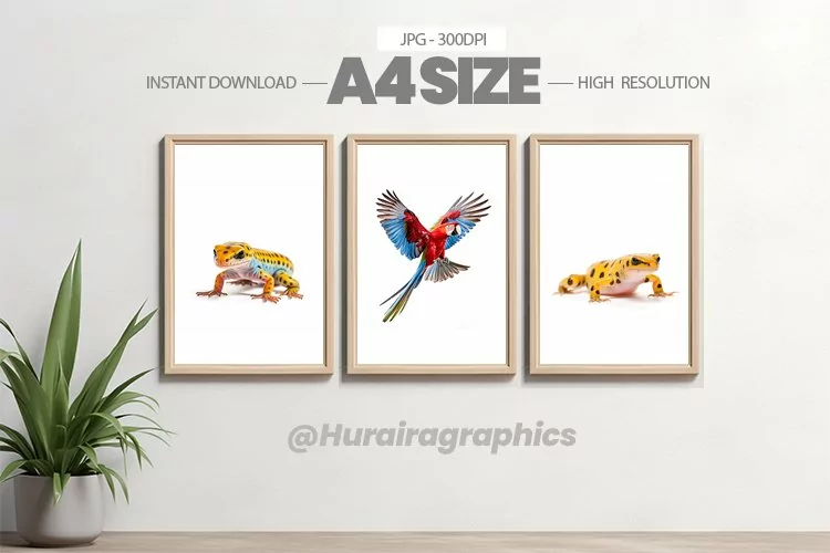 Animal Wall Art - 03 Variations