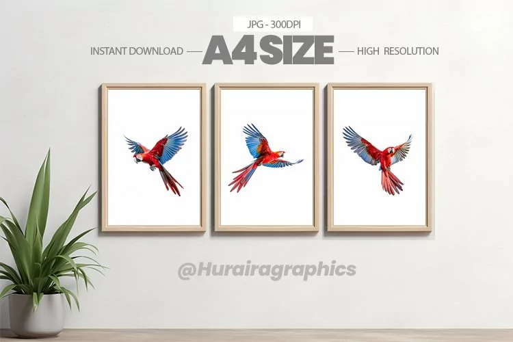 Bird Wall Art - 03 Variations