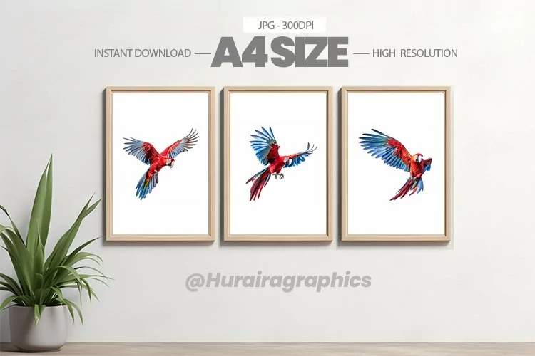 Bird Wall Art - 03 Variations