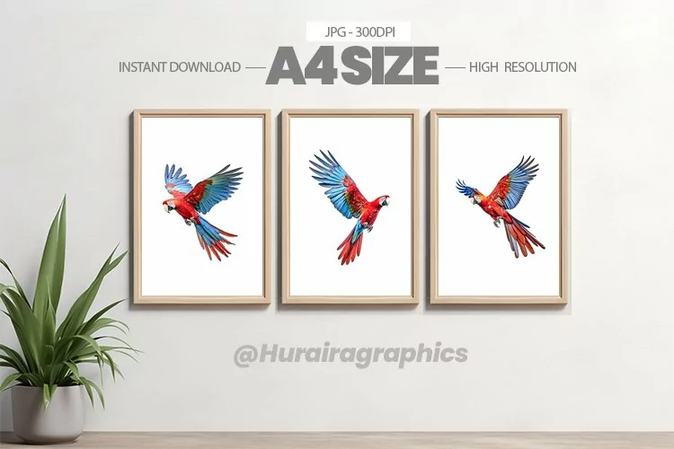 Bird Wall Art - 03 Variations