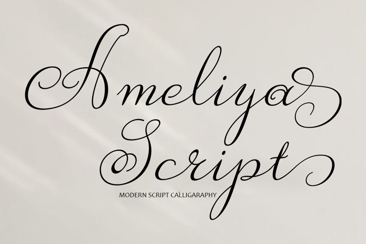 Wedding Fonts Image 13