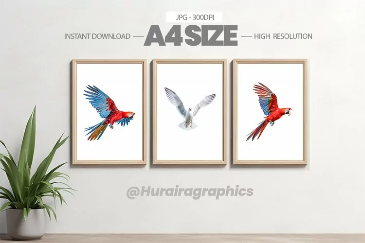 Bird Wall Art - 03 Variations