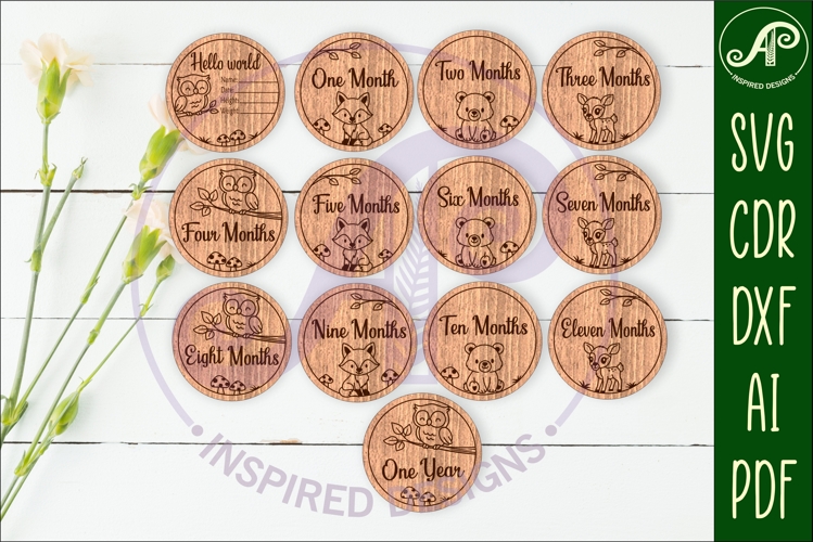 Woodland animals themed Baby monthly milestone discs SVG