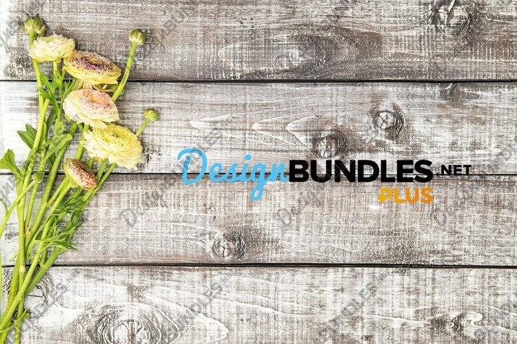 Floral Background Image 2