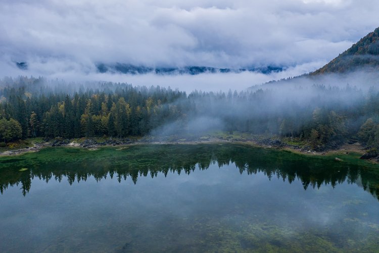 Misty and foggy forest from above example image 1