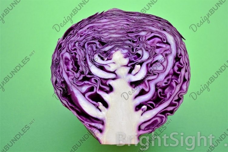 Cut Clipart Image 17