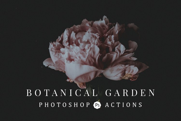 Botanical Garden PS Actions example image 1