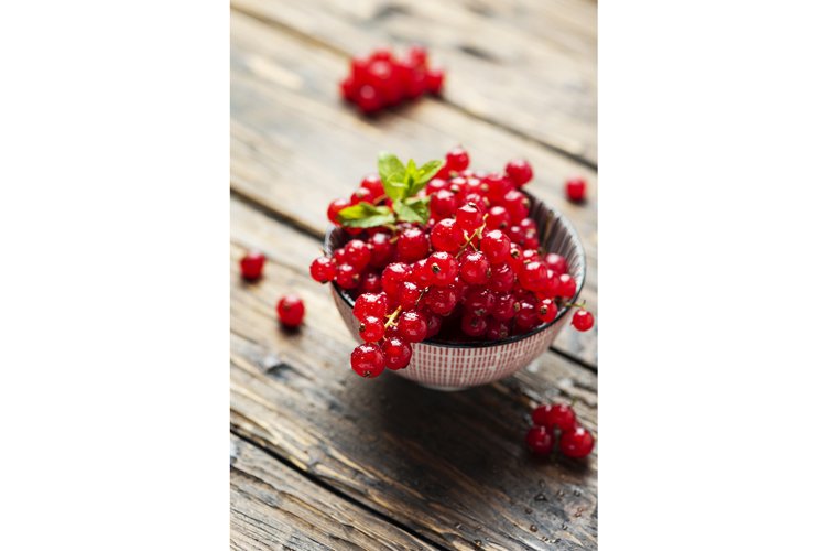 Mint Clipart Image 15
