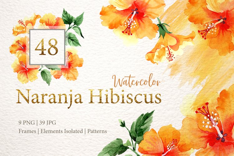 Hibiscus Watercolor Image 22