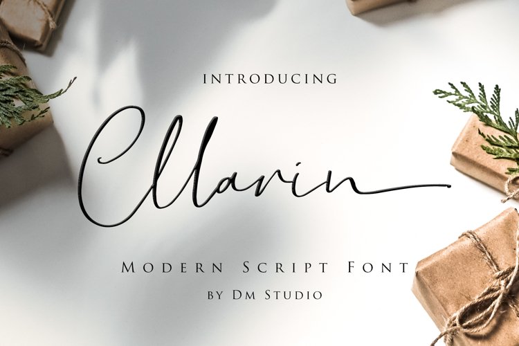 Cllarin - Modern Script Font example image 1
