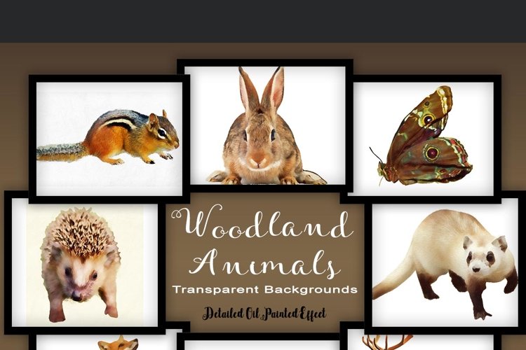 Woodland Animal Set V2 example image 1