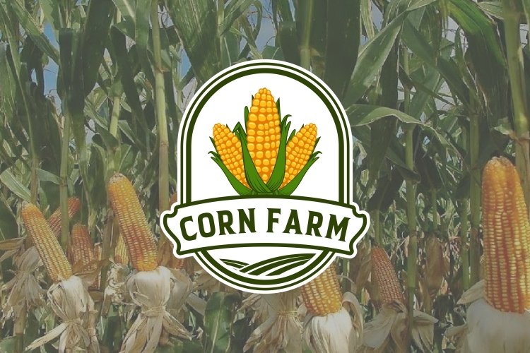 corn farm example image 1