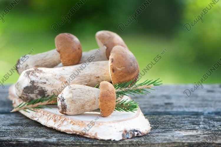 Chic porcini and boletus mushrooms on the table example image 1