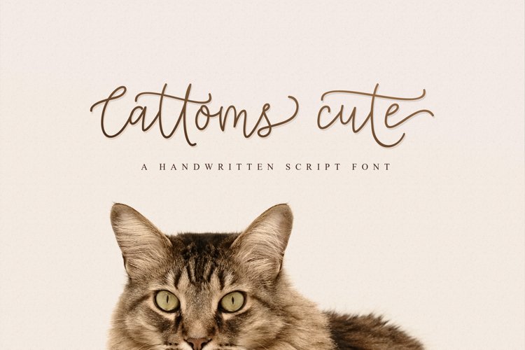 Cattoms Cute Script Fonts example image 1