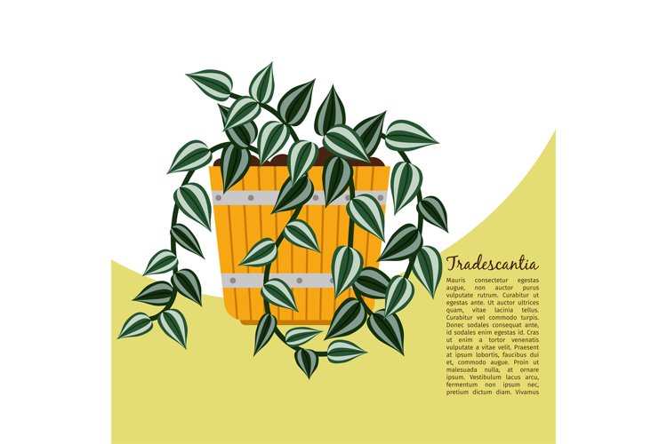 Banner Clipart Image 17