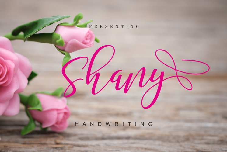 Shany example image 1