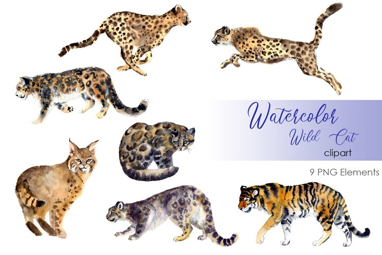 Big Cat Names Lupon gov ph