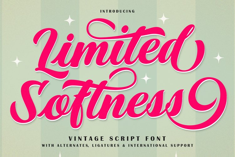 Limited Softness Script Font example image 1