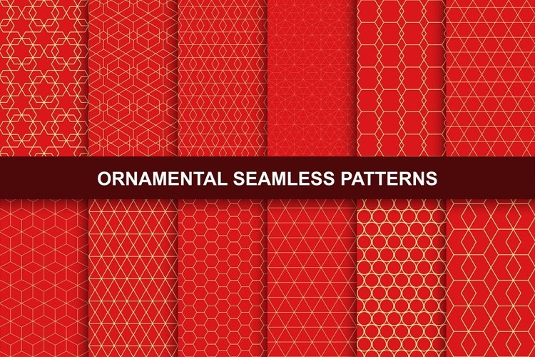 Rich Ornamental Patterns. Seamless. example image 1