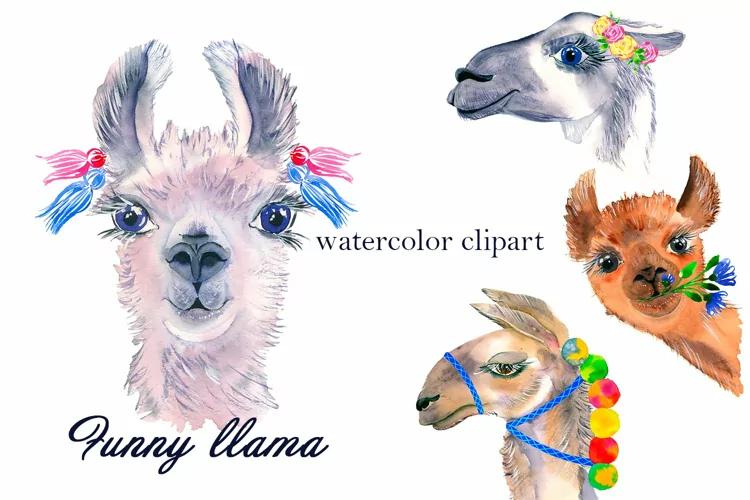 Watercolor Lama Clipart - alpaca swith flowers, portrait