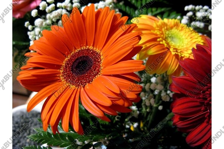 Flower Garden Clipart Image 16